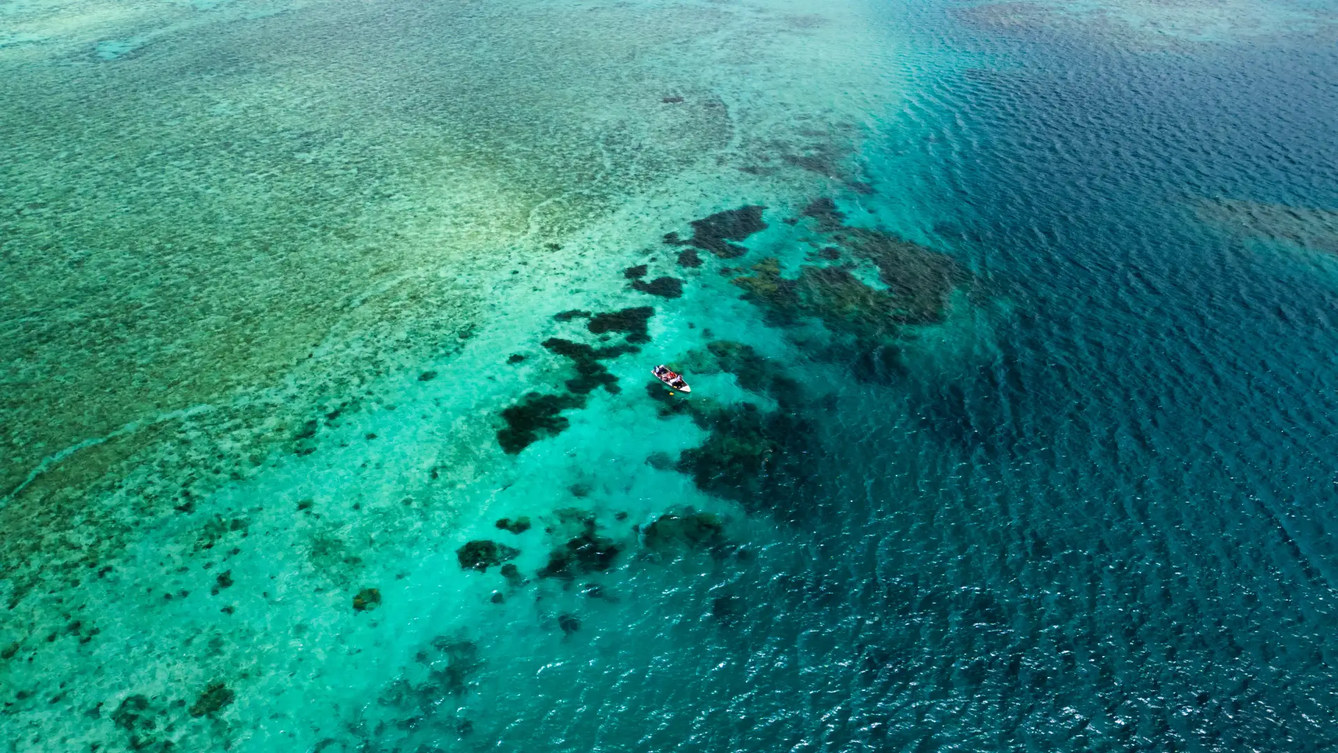 Fiji snorkeling reef tour