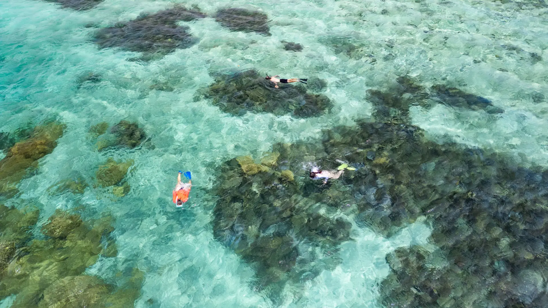 Reef snorkeling aerial
