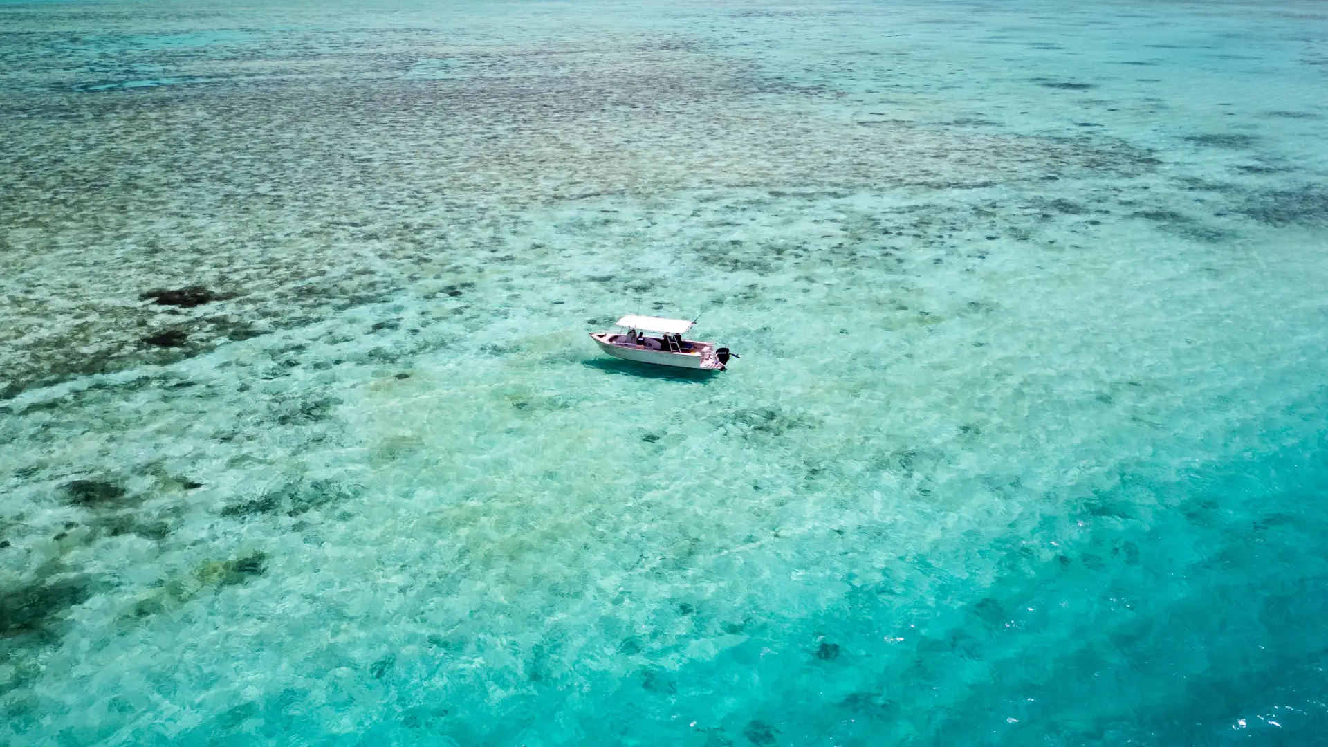 Coral Coast reef aerial