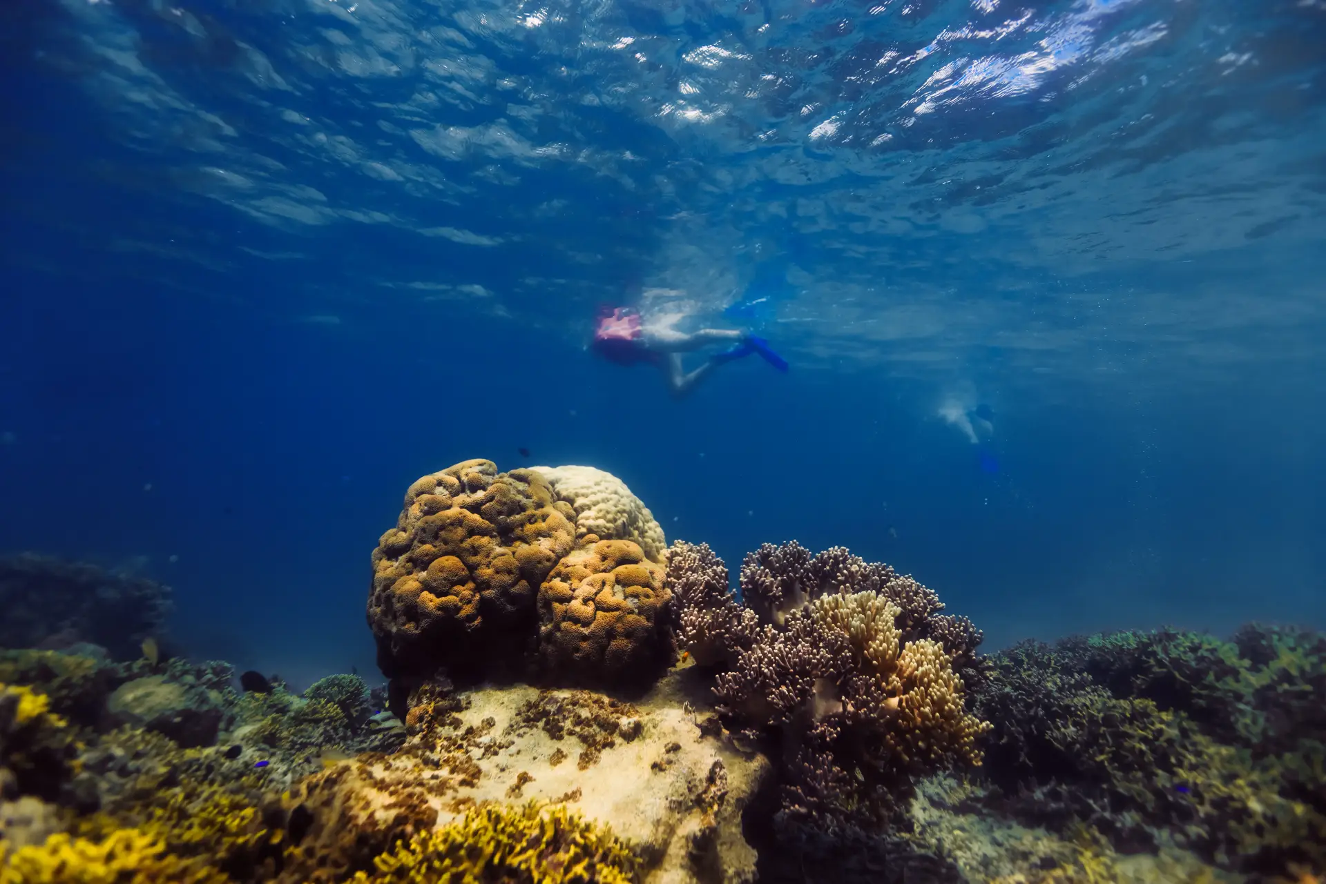 Underwater snorkeling