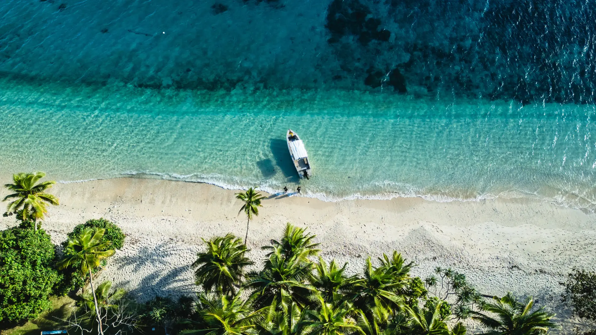 Fiji charter aerial view